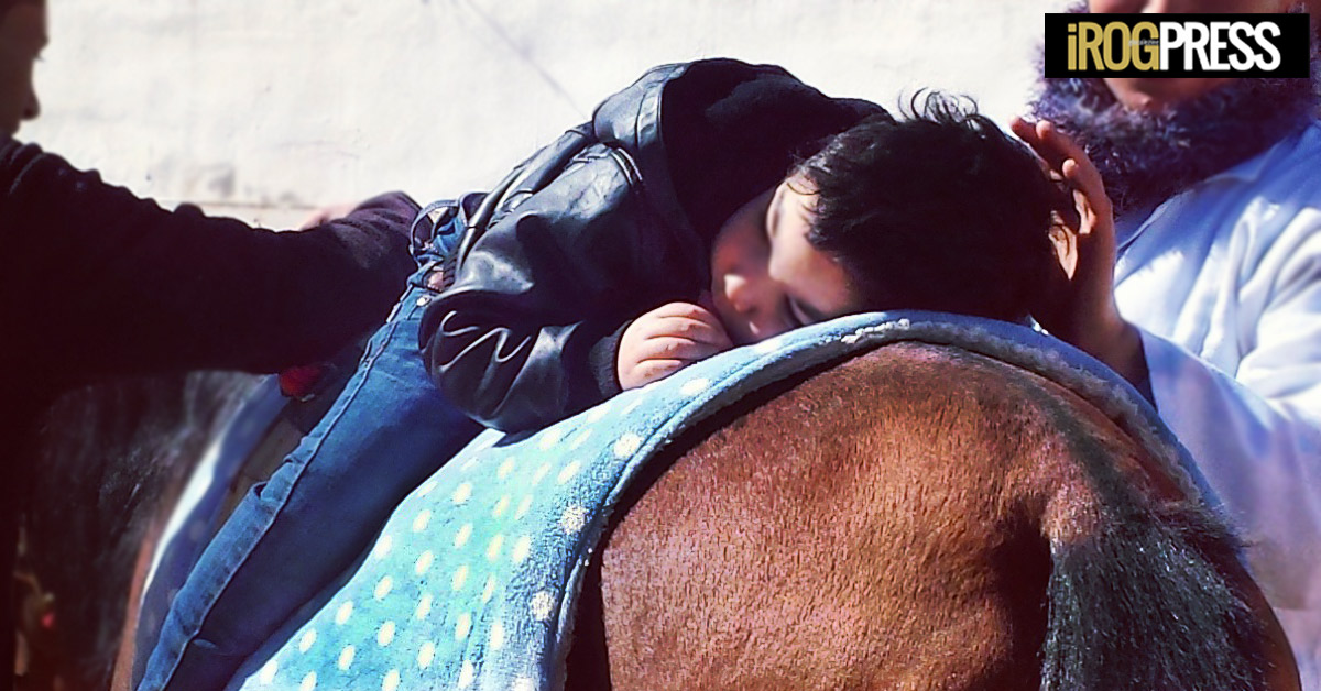 PET THERAPY IN TUNISIA: I CAVALLI DI MARIA GABRIELLA INCISA DI CAMERANA