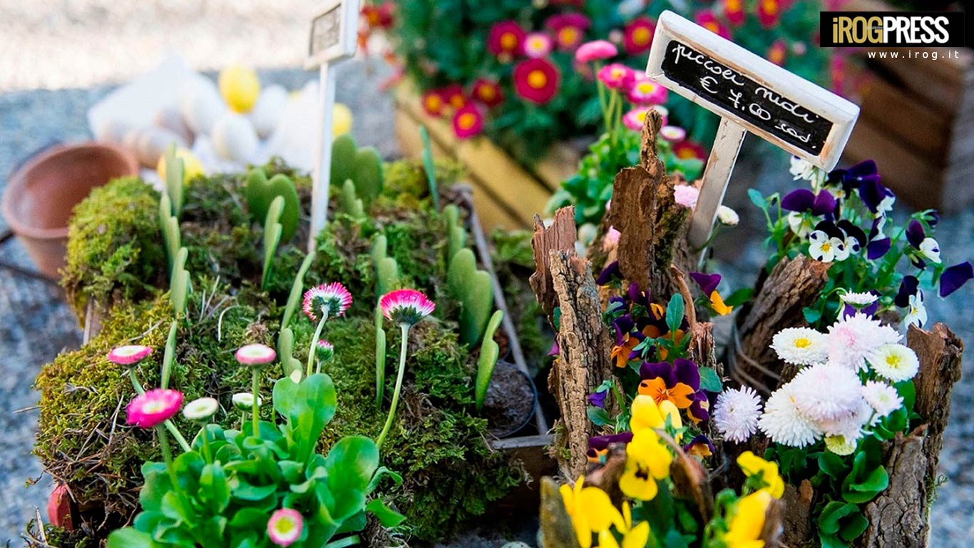 A MILANO “UN SOFFIO DI PRIMAVERA”, MOSTRA E MERCATO DI PIANTE, FIORI, OGGETTI PER TERRAZZI E GIARDINI