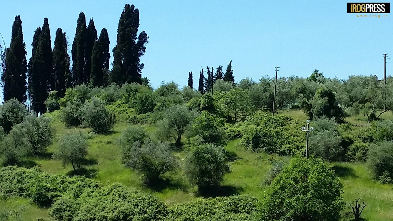 NASCE LA BANCA DELLE TERRE AGRICOLE, PRIMI 8 MILA ETTARI CON AGEVOLAZIONI PER I GIOVANI