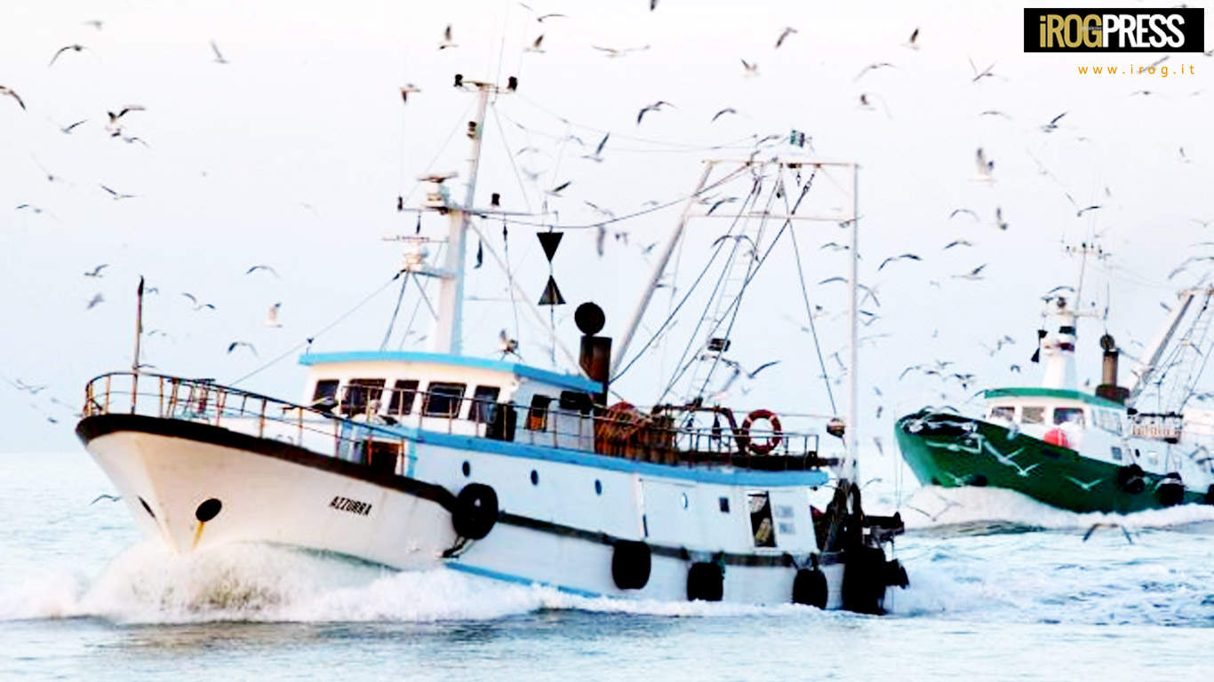 PRESENTATE AL GOVERNO LE LINEE GUIDA PER IL SETTORE PESCA