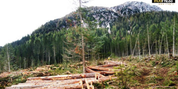 TERZO ANNIVERSARIO TEMPESTA VAIA IN VENETO. ZAIA, “MAI VISTO PRIMA NIENTE DI SIMILE. FIERI DI QUANTO FATTO E FAREMO”