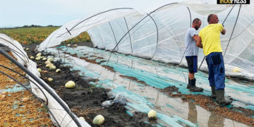 MALTEMPO: COLDIRETTI, PER L’AGRICOLTURA È CALAMITÀ. MAPPA DEI DANNI DA ULIVI A FRUTTETI, DA ORTAGGI A SERRE