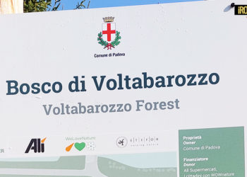 PADOVA REGINA PER INQUINAMENTO, VERDI PER L’ITALIA PRETENDE MAGGIORE IMPEGNO DELL’AMMINISTRAZIONE COMUNALE