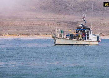 DA DOMANI RIFLETTORI PUNTATI SUL COMPARTO ITTICO VENETO