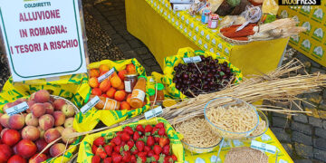 CLIMA, SOS ALBICOCCA IMOLA A FRAGOLA ROMAGNA: A RISCHIO BIODIVERSITA’, ITALIA PERSI 3 FRUTTI SU 4