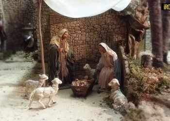 GESU’ NON E’ UN CUCU’