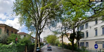 PADOVA, PETIZIONE: UNITI CONTRO IL TAGLIO DI 4 PLATANI IN VIA VOLTURNO A PADOVA