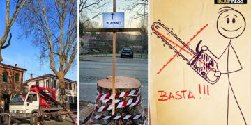 ABBATTIMENTO PLATANI DI VIA VOLTURNO SCATENA IRA DI CITTADINI E COMITATI DI PADOVA