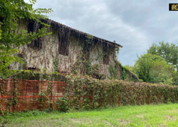 PADOVA, 250 FIRME PER CHIEDERE MANUTENZIONE E SICUREZZA AL PARCO MORANDI. “LE REGOLE VANNO RISPETTATE”