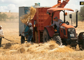 LA MANTIA (UGL), CONTRO IL CAPORALATO ALLA QUARTA COMMISSIONE CONSILIARE PERMANENTE DEL CONSIGLIO REGIONALE DEL VENETO