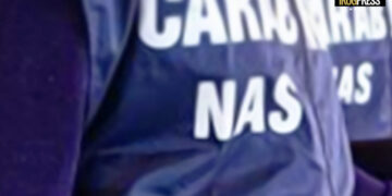 CONTRASTO ALLA PESTE SUINA AFRICANA: TROVATE CARNI PRIVE DI TRACCIABILITÀ