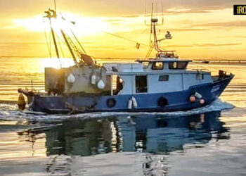 LA MARINERIA DI CHIOGGIA AGLI APICI DEL COMPARTO ITTICO NAZIONALE: I DATI DI VENETO AGRICOLTURA