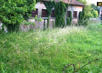 PADOVA, CON L’HUB ALI’ IL COMUNE HA AUMENTATO IL CONSUMO DI SUOLO DI 10.3 ETTARI