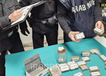 MAXI SEQUESTRO DI HASHISH: ARRESTATO 18ENNE NELLA BASSA PADOVANA