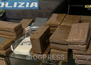 PADOVA E PERUGIA: DOPPIO COLPO AL TRAFFICO DI STUPEFACENTI