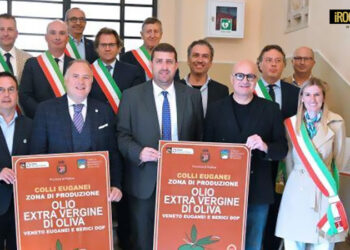 OLIO EXTRAVERGINE D’OLIVA DEI COLLI EUGANEI: IL PREMIO E LA NUOVA CARTELLONISTICA STRADALE