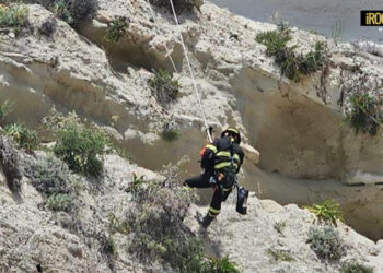 RECUPERO CAPRA A RICADI
