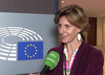 CAPORALATO, LAURETI (PD): NON SOLO ATTUARE MA RAFFORZARE CONDIZIONALITÀ SOCIALE NUOVA PAC