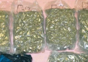 28 INDAGATI PER SPACCIO, SFRUTTAMENTO DELLA PROSTITUZIONE E ESTORSIONE