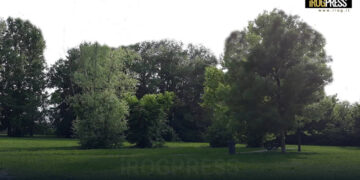 AVVIATI I LAVORI PER IL NUOVO PARCO GUIZZA, ENTRO LA PROSSIMA PRIMAVERA 70 MILA MQ DI VERDE