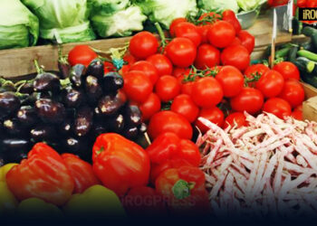 SAPORI D’AUTUNNO: DOMANDE DI PARTECIPAZIONE ENTRO VENERDÌ 10 OTTOBRE 2025