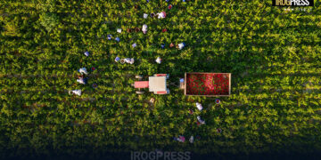 DECRETO LEGGE 146/2025: NUOVE REGOLE PER INGRESSI E LAVORO DEI CITTADINI STRANIERI IN ITALIA