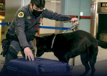 SEQUESTRATE ALL’AEROPORTO DI LINATE OLTRE 20.000 CARTE COLLEZIONABILI IMPORTATE IN CONTRABBANDO