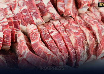 PADOVA: CARNE BOVINA TRASPORTATA SENZA REFRIGERAZIONE, SEQUESTRATI DI 1.500 CHILOGRAMMI