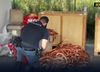 CONTROLLI STRAORDINARI A PADOVA, TORINO E MILANO: 11 ARRESTI, 32 DENUNCE E 21 ESPULSIONI